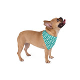 LUE Creative Pet Bandana